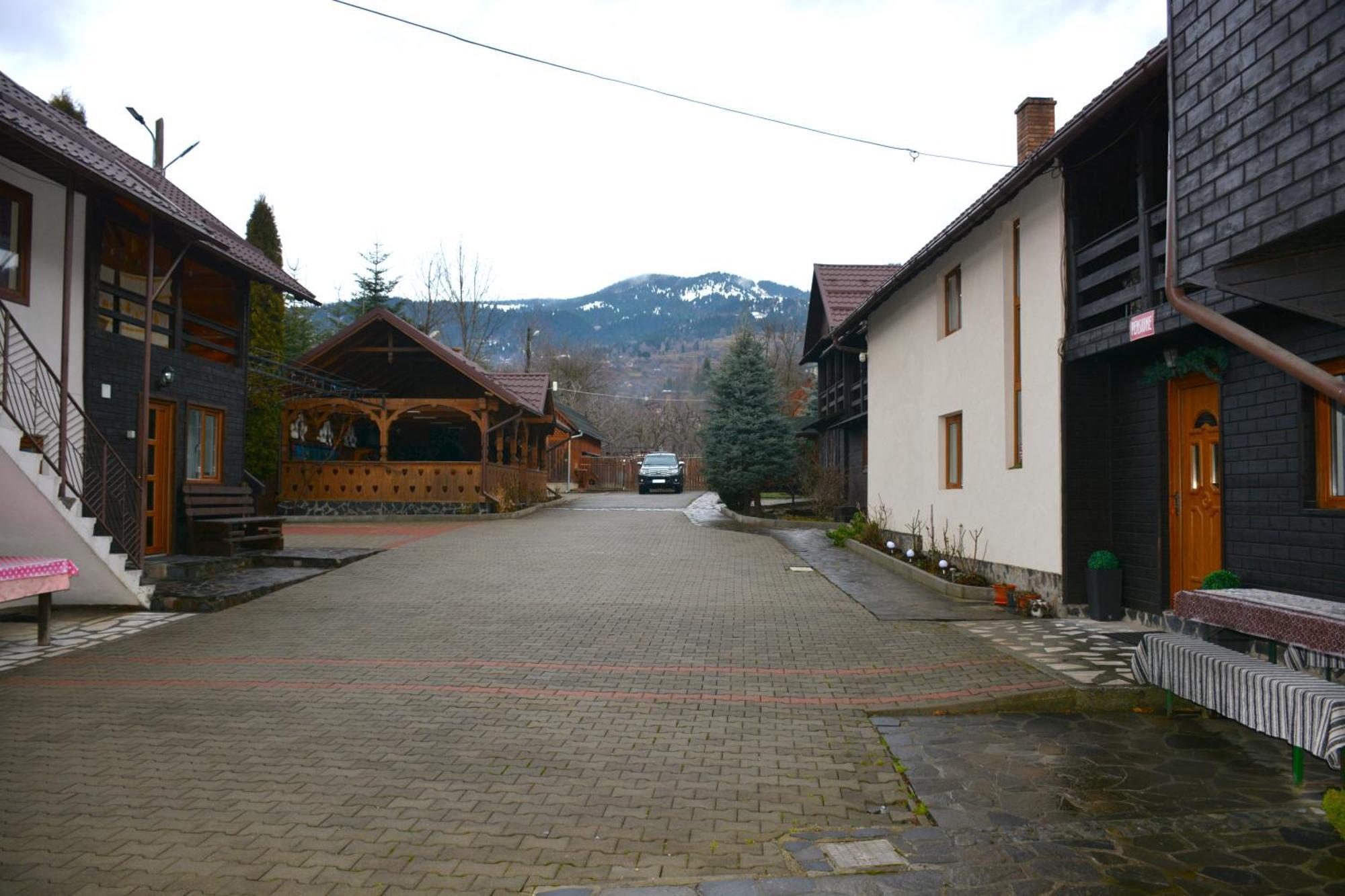 Pensiunea Poiana Hotel Borsa  Exterior photo